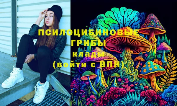 стафф Нефтегорск