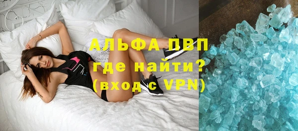 стафф Нефтегорск