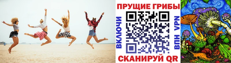 нарко площадка как зайти  Пласт  Галлюциногенные грибы MAGIC MUSHROOMS 